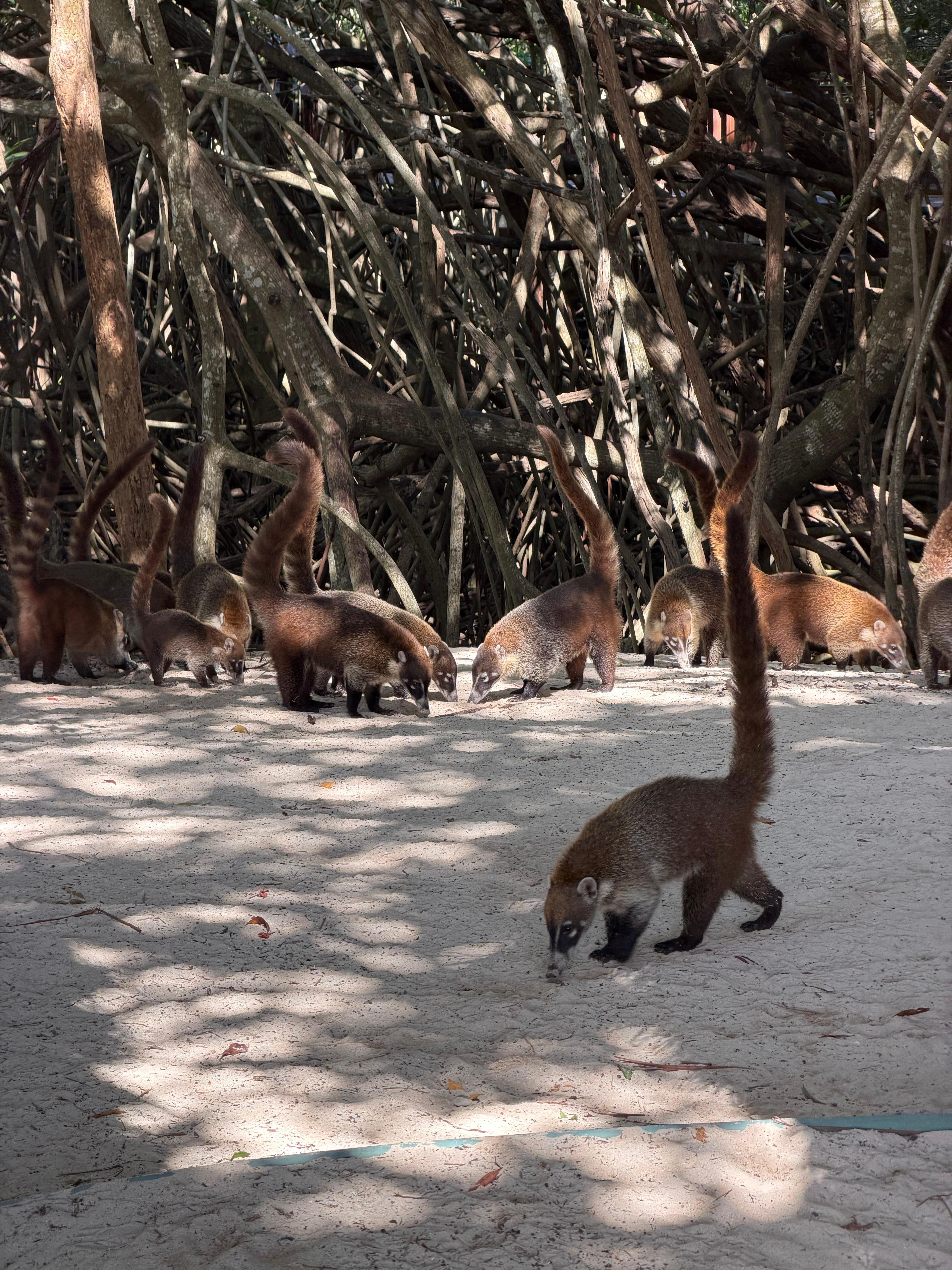 Lots of wildlife. Fun to watch for kids and adults 