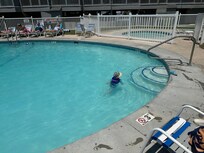 Great pool for kids! Condo looks right out over the pool.