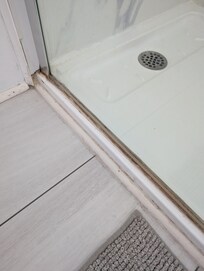 Shower base moldy, to the right although not shown hangs a plastic curtain installed to replace broken shower door