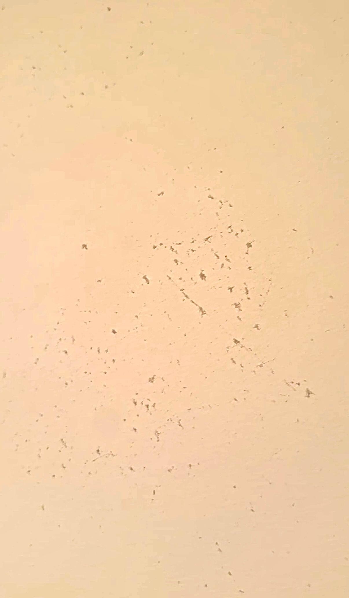 Dust on walls 