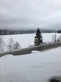 View from townhouse.