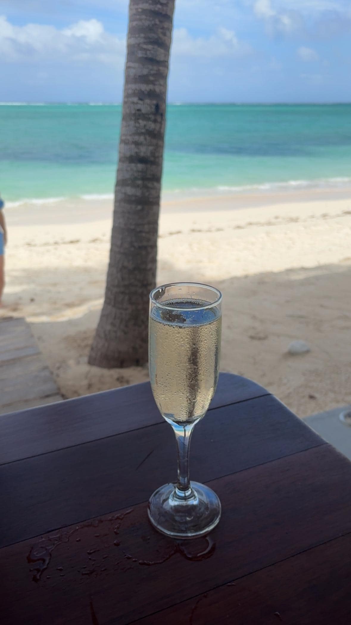 View from restaurant bar