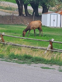 From our room window