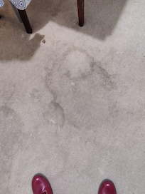 Room carpet, stain 1