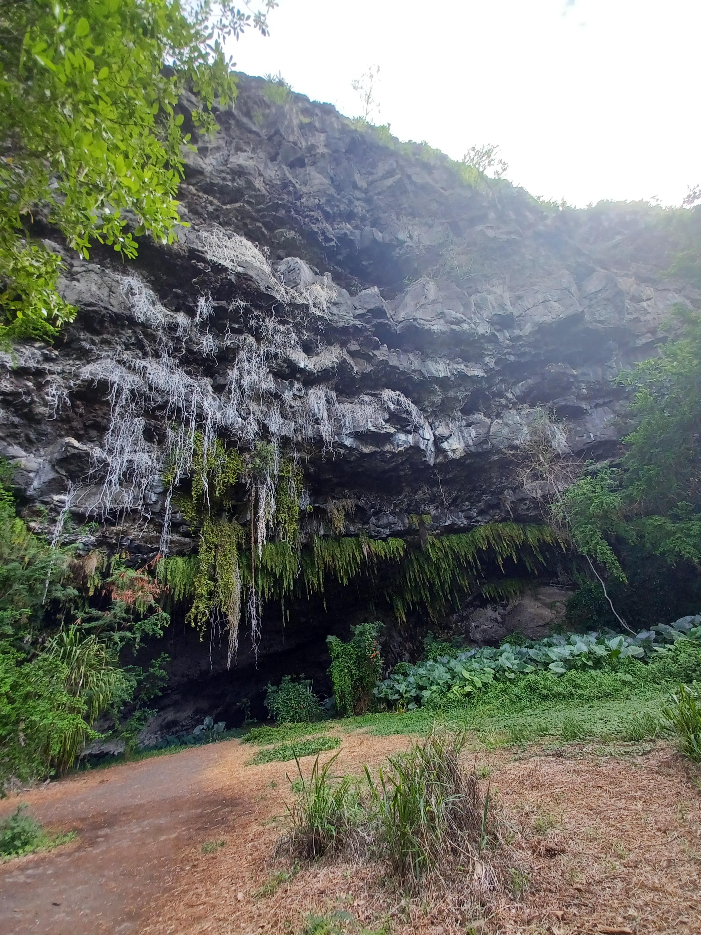 Grotte des premiers français 