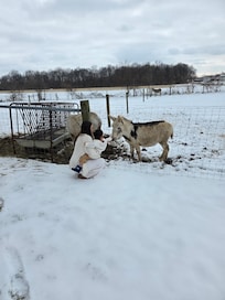 My grandson loved the donkeys. Every time we came and went he would waive.