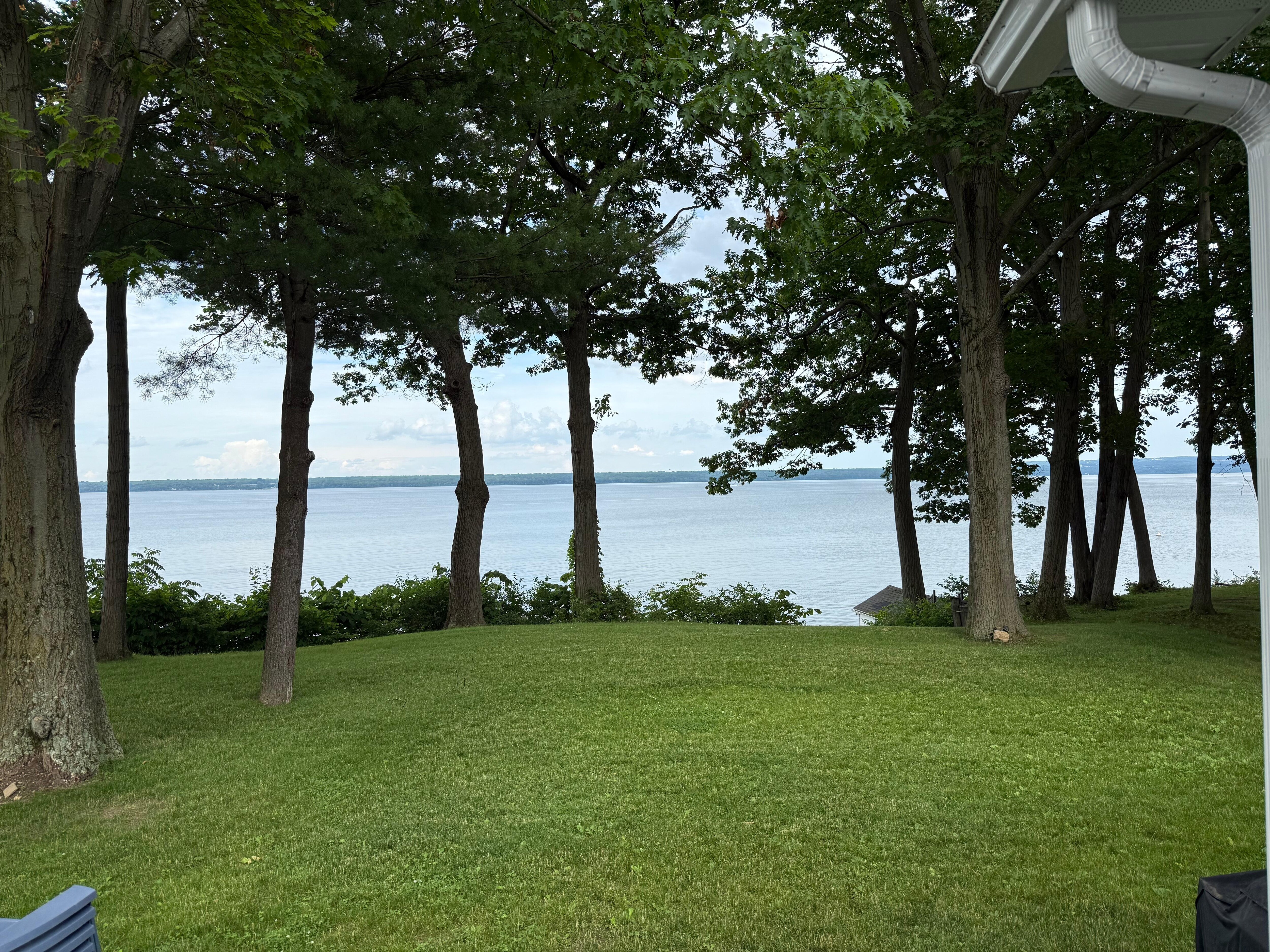 View from the yard.