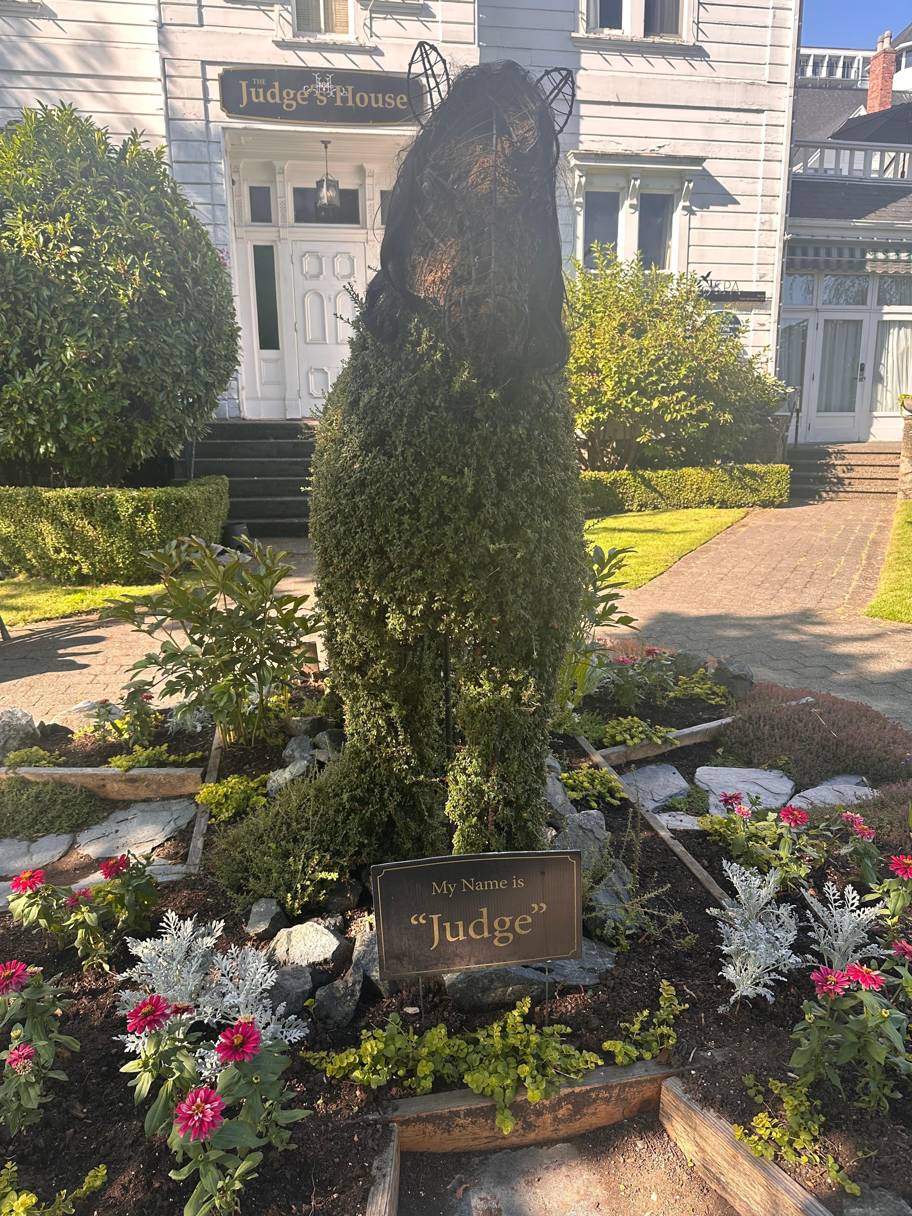 The garden 