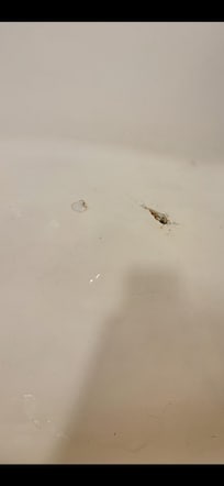 Tub