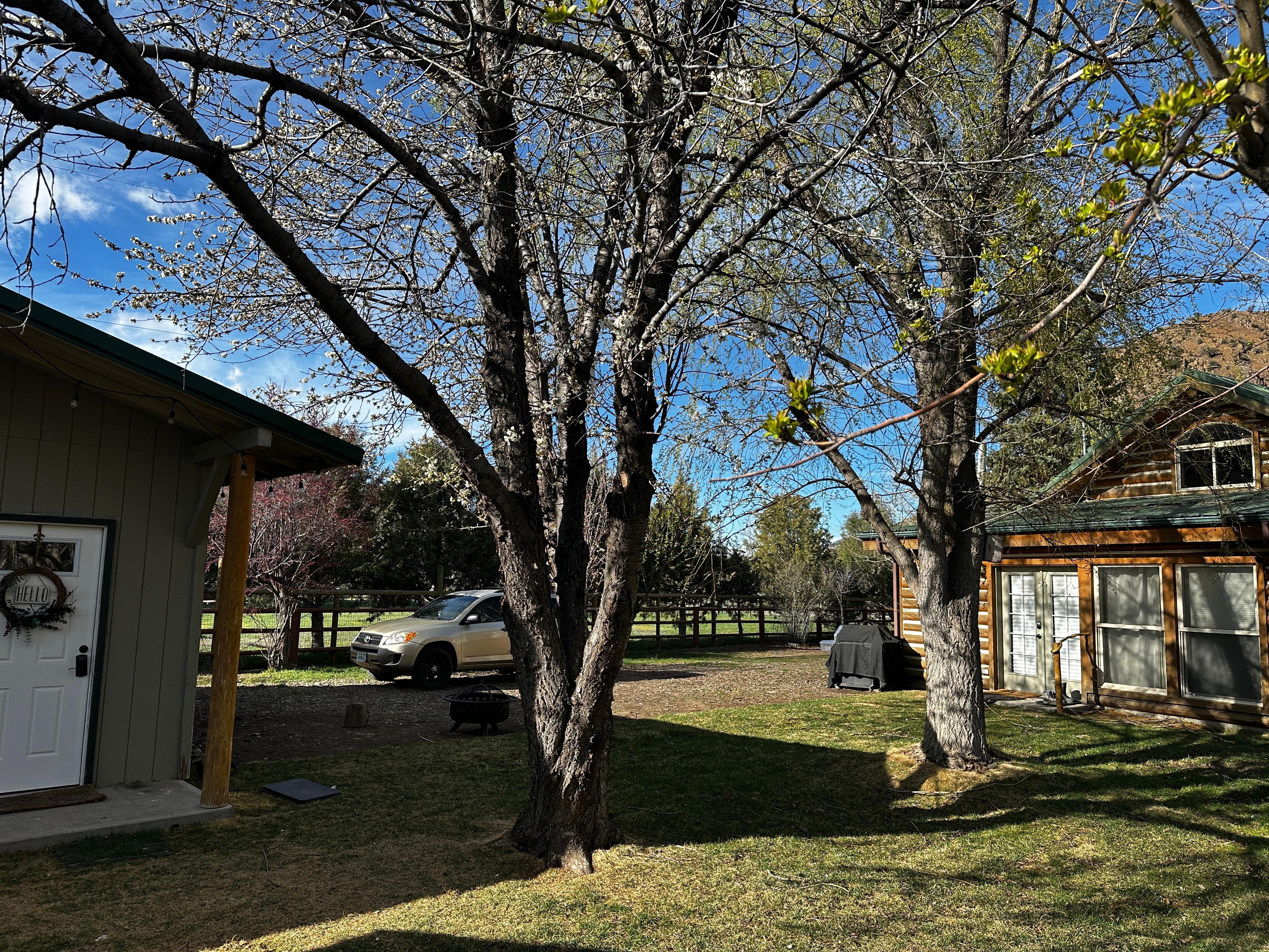Like mentioned, the house was in the backyard of another home but nobody seemed to be there. 