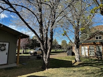 Like mentioned, the house was in the backyard of another home but nobody seemed to be there.