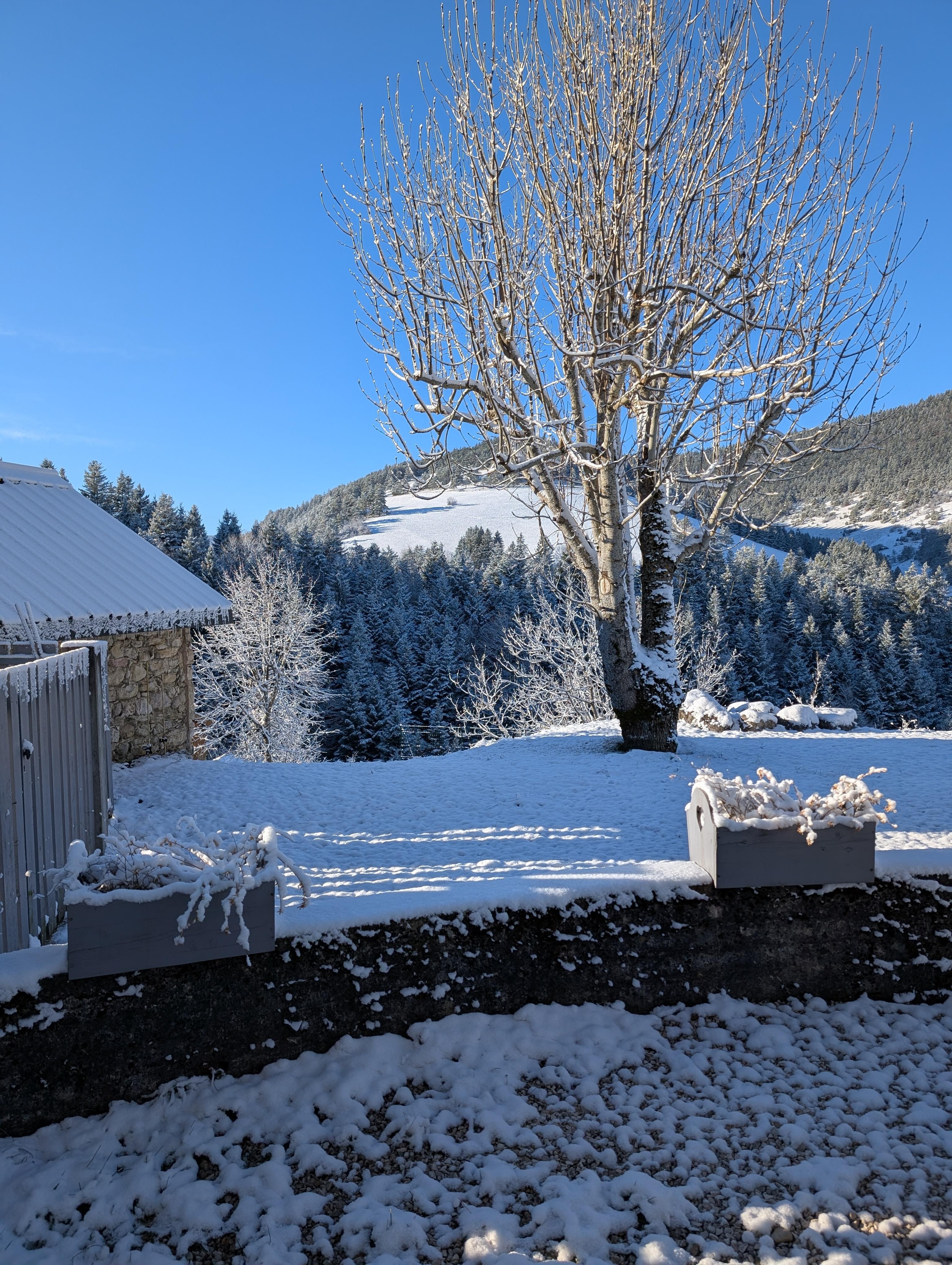 Extérieur devant la maison