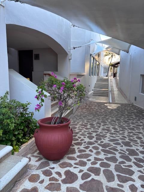 The lovely walkway by the spa area.