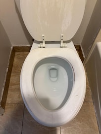 Extremely worn toilet seat