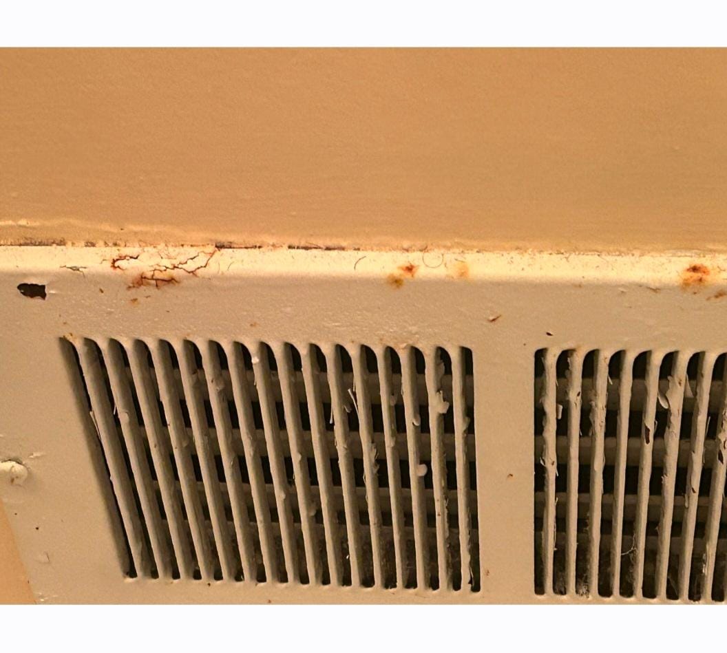 Just so run down and unsanitary 