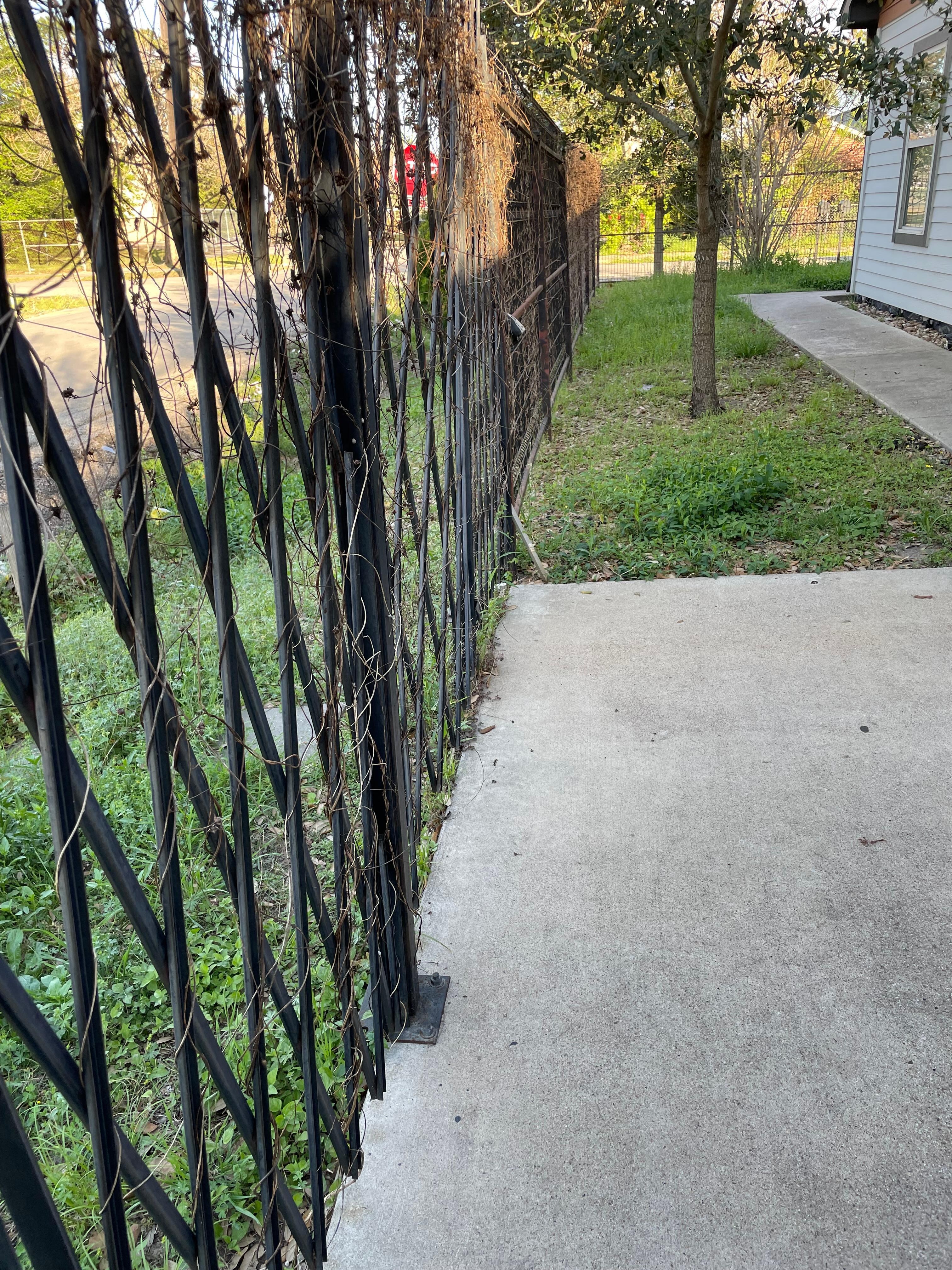 Front yard - no parking 