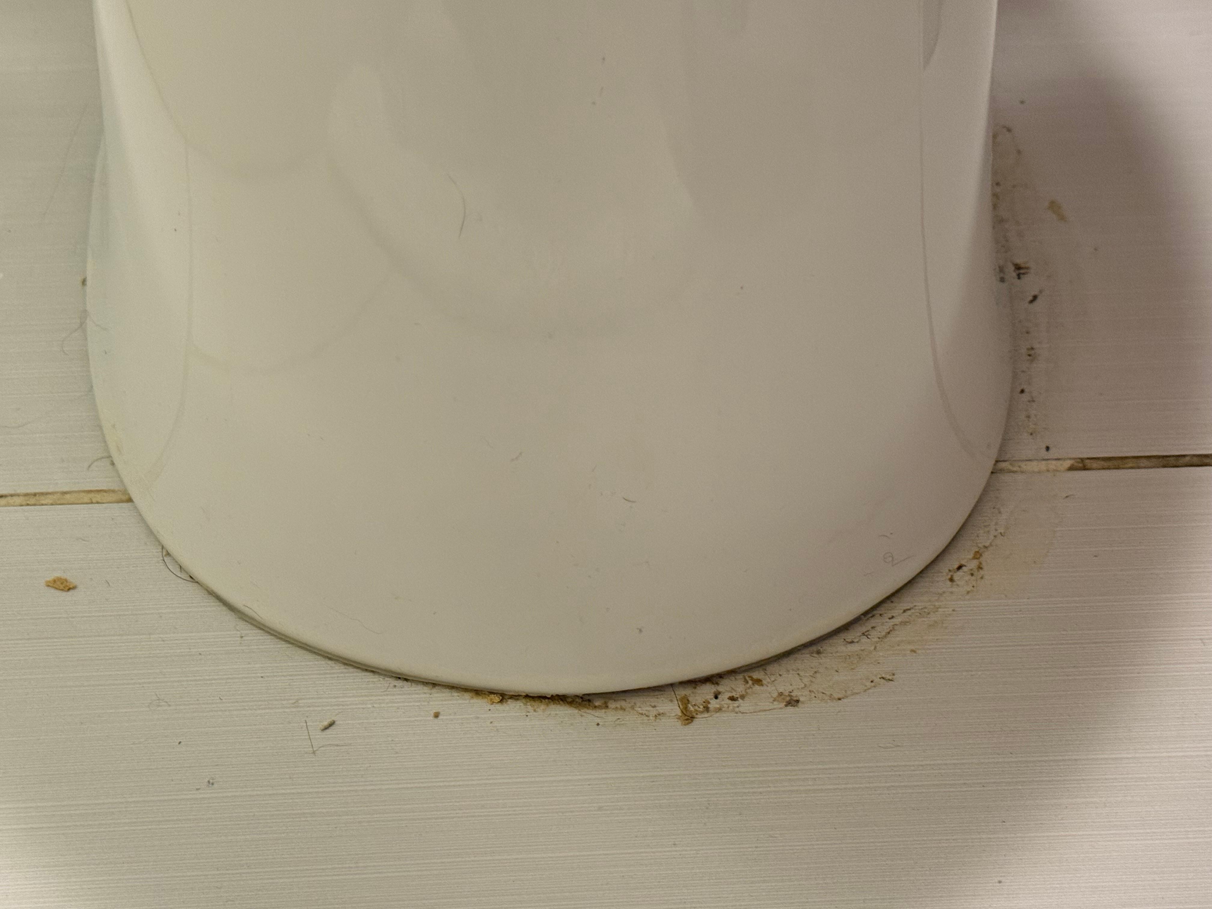 Pee bottom of toilet