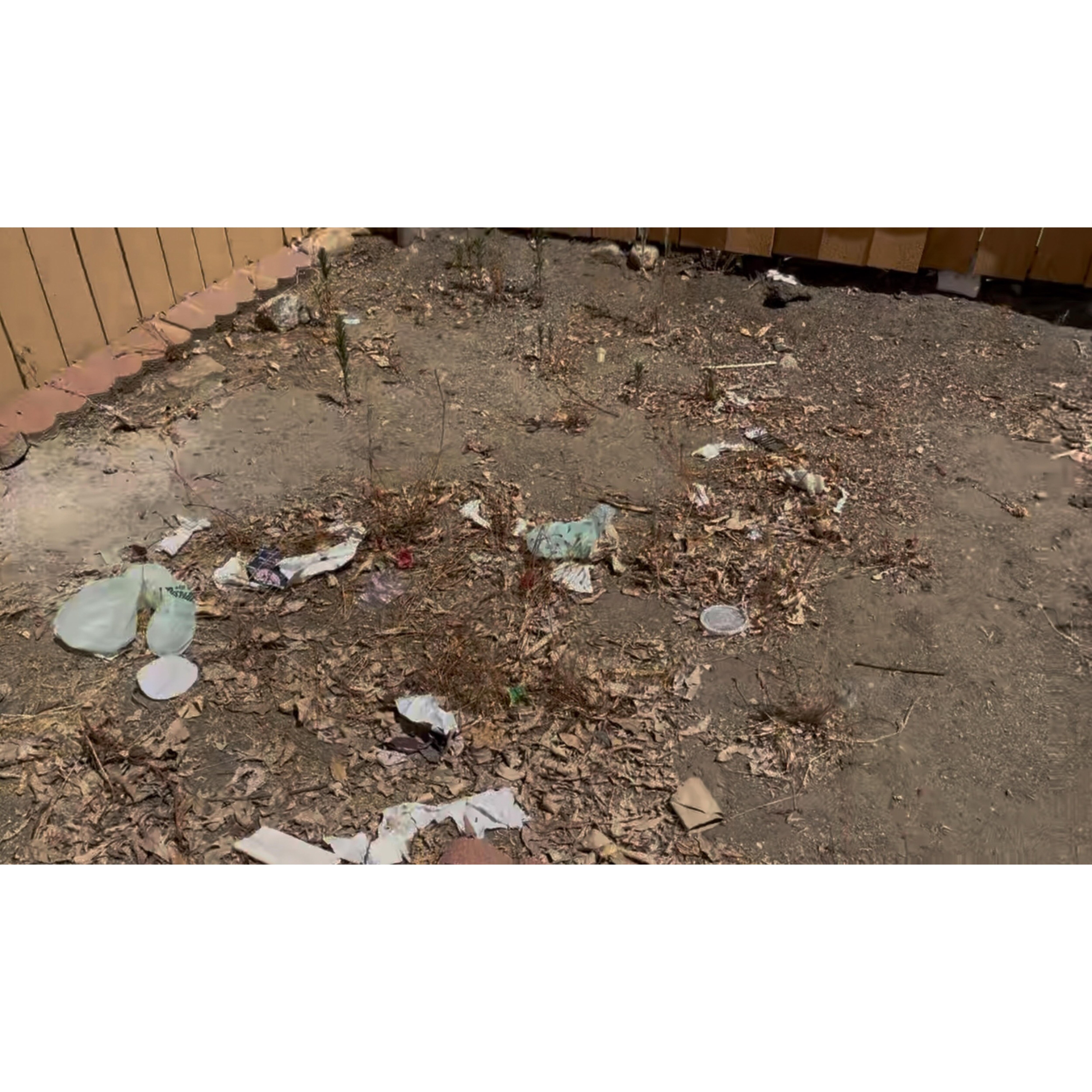 Filthy backyard