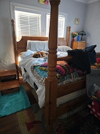 He was so proud he figured out how to use the steps to crawl onto the bed!