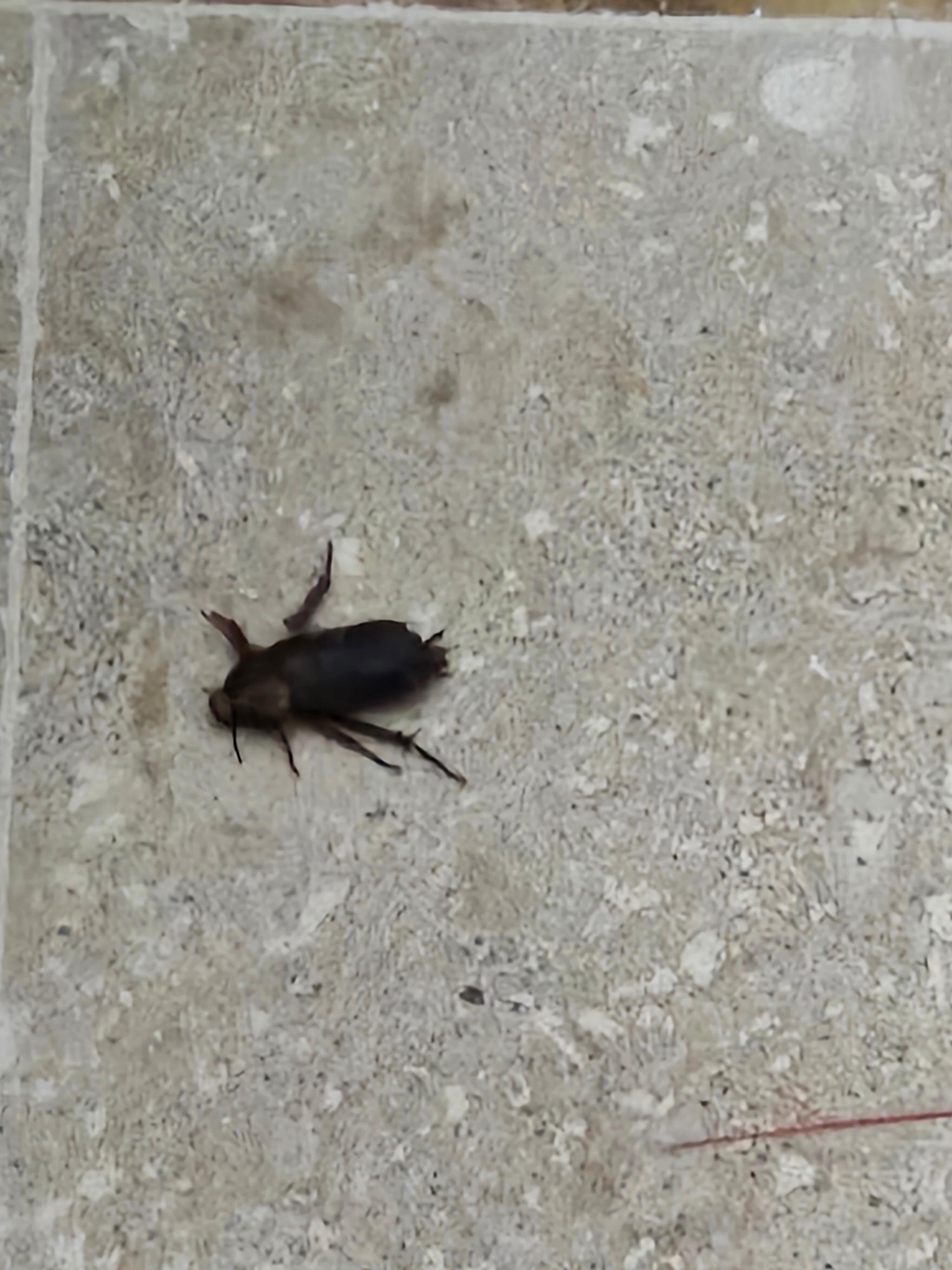 One of several that were inside 