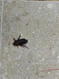 One of several that were inside