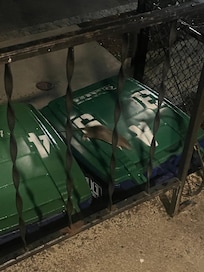 Rats in and on top of the trash can right by the front door