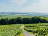 Blick aus der Suite