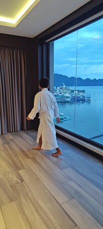 Panoramic suite has amazing views