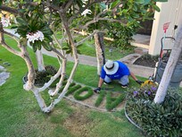 Caretaker working on premises