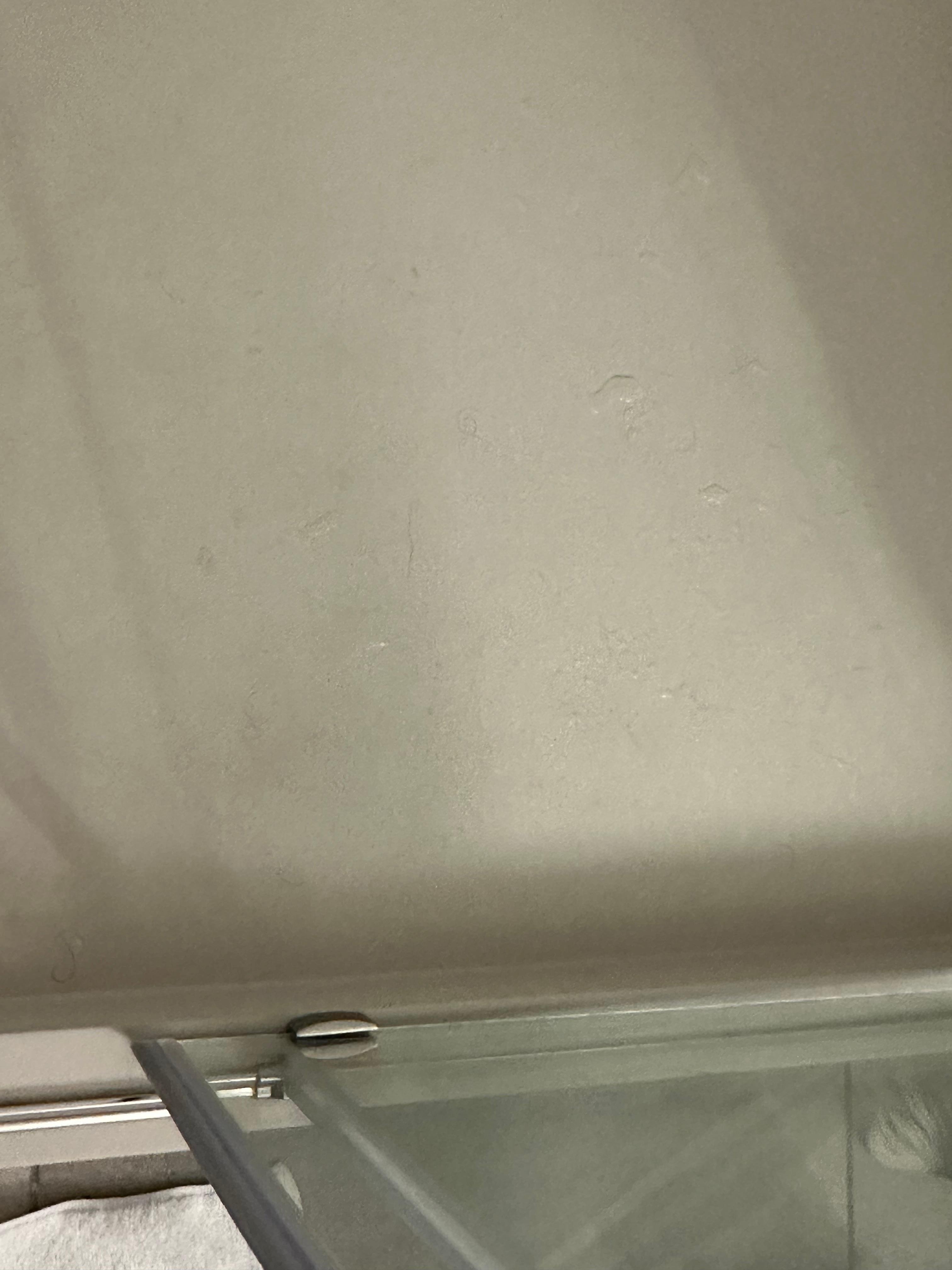 Shower just showing the hair and grime 