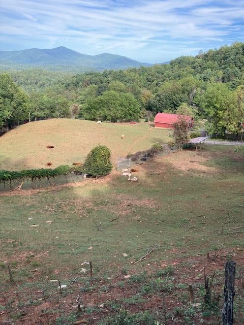 View From covered deck