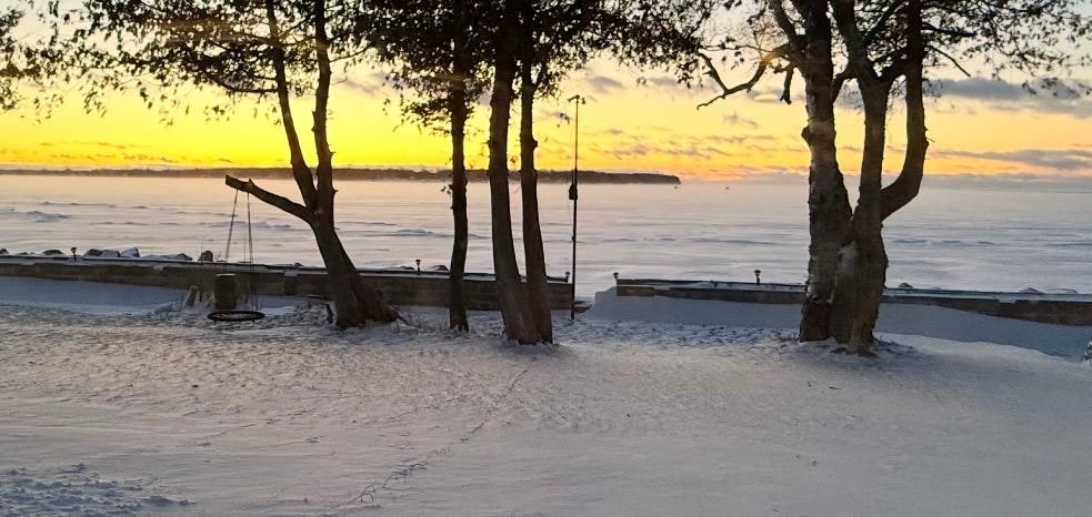 Lovely view from the living room and dining area.