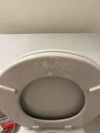Main floor toilet