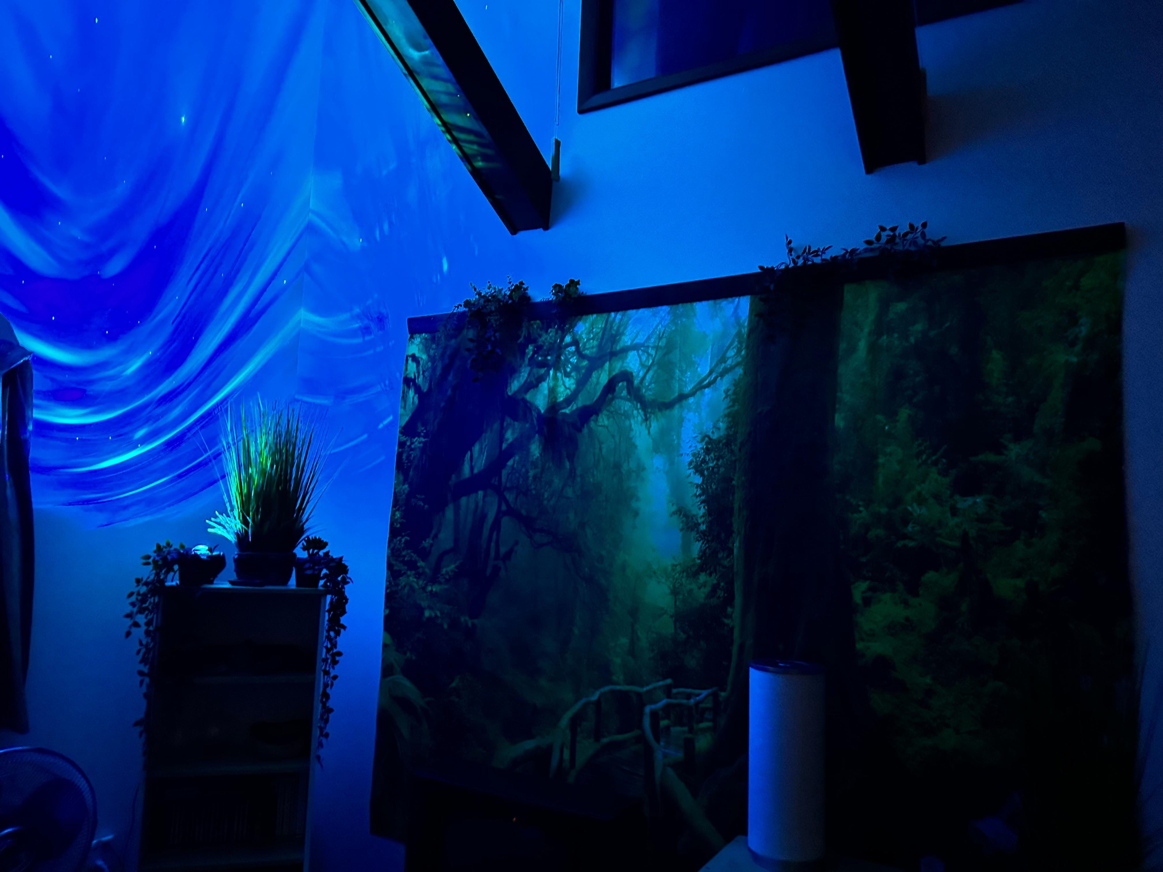 The upstairs suite with forest backdrop and lighting in the evening 