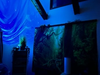 The upstairs suite with forest backdrop and lighting in the evening