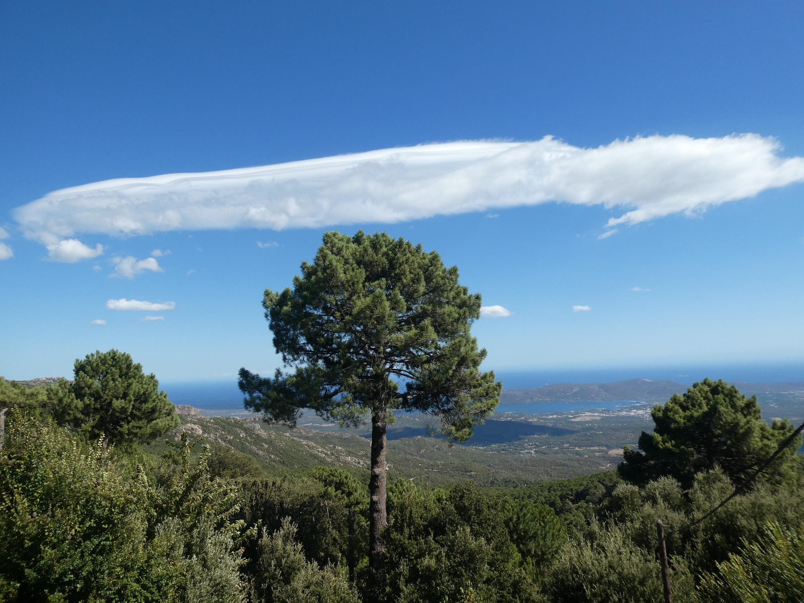 vue de la terrasse sur le port de Porto Vecchio 