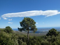 vue de la terrasse sur le port de Porto Vecchio