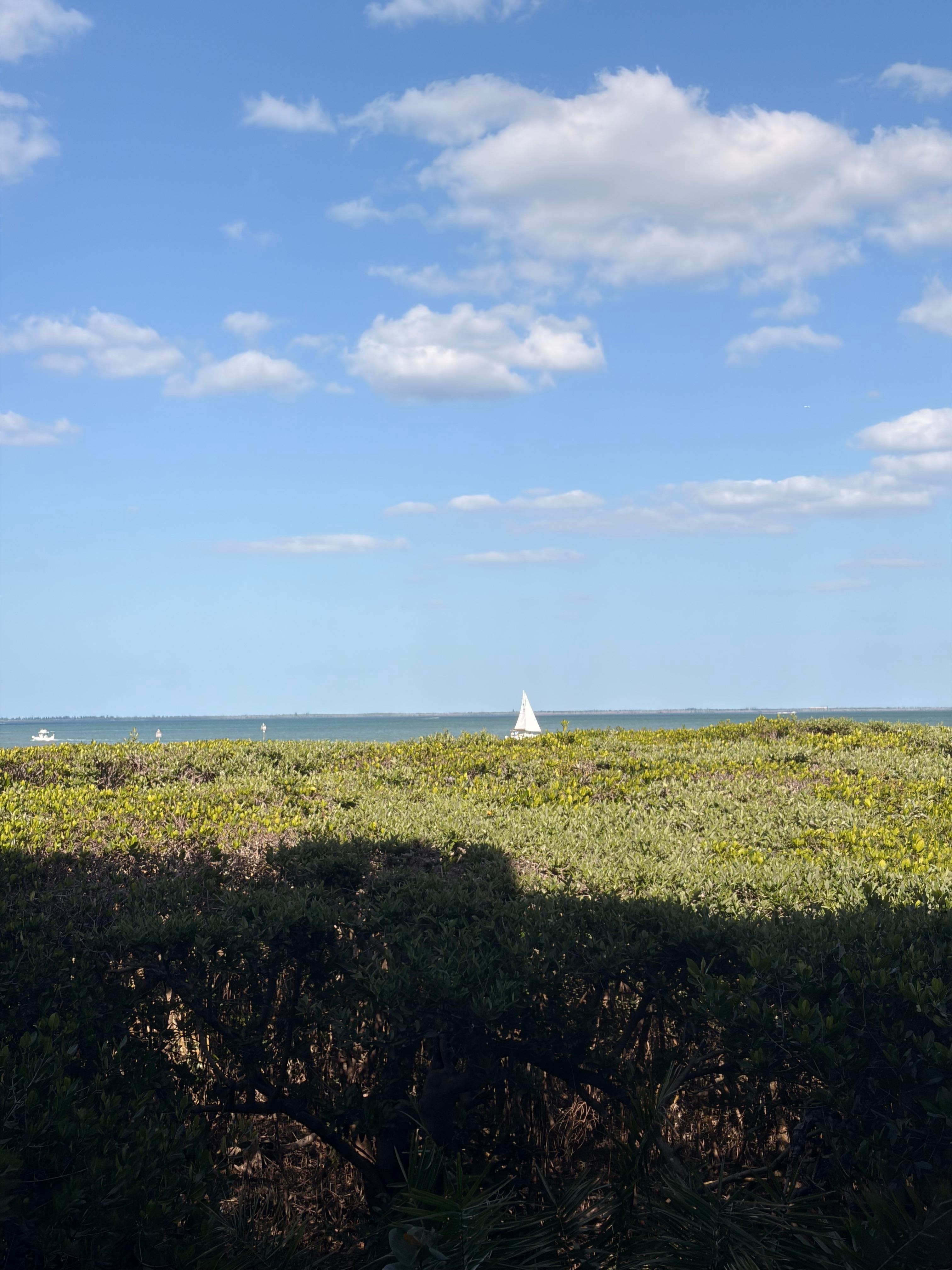 View from screened in porch