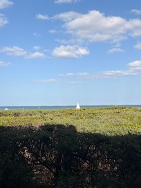 View from screened in porch