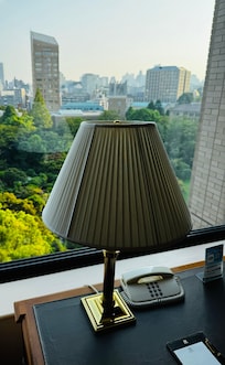 Day view