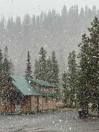 A beautiful surprise this morning.