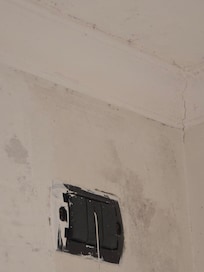 Bathroom mold