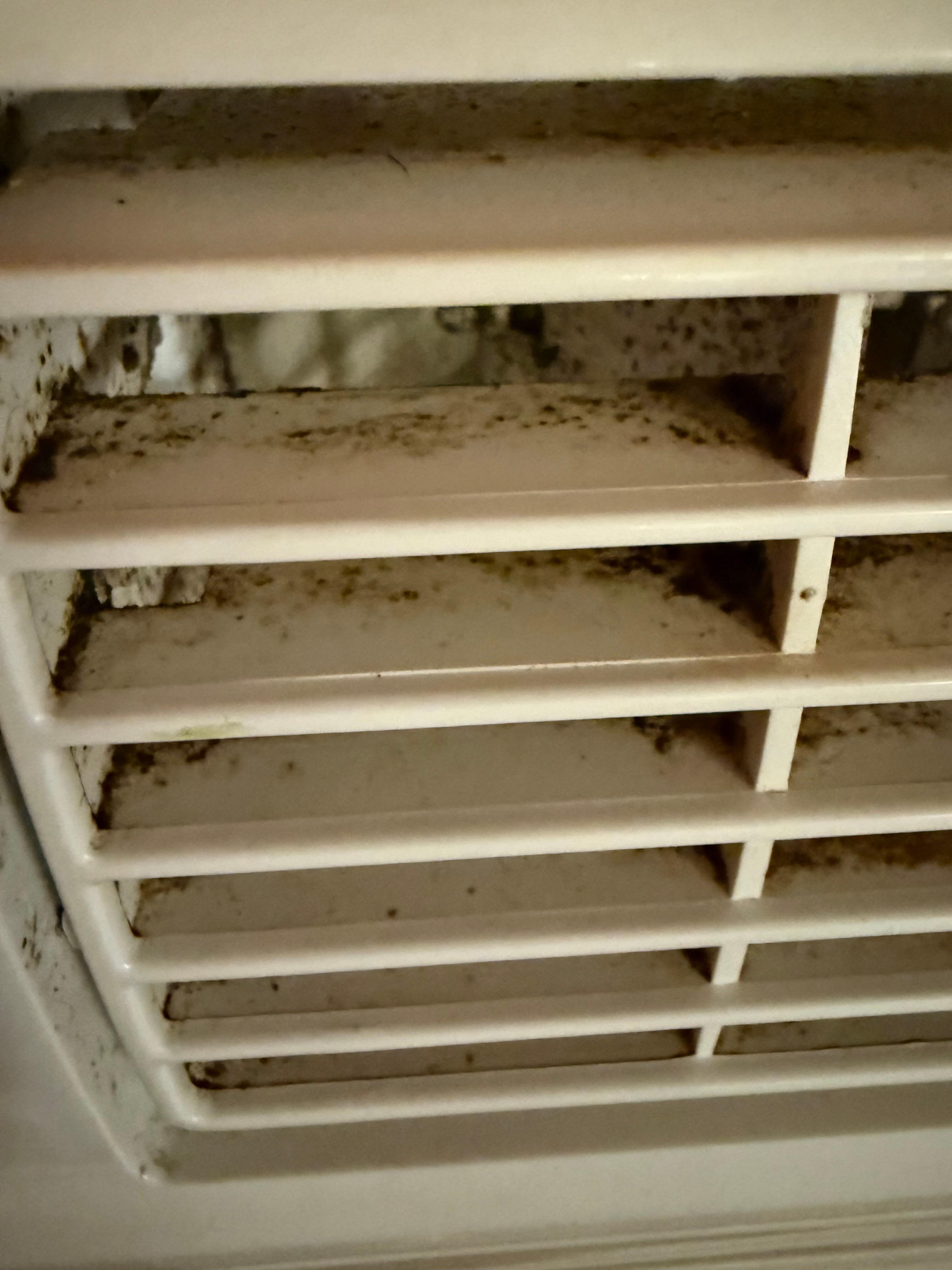 Black mold in the AC 