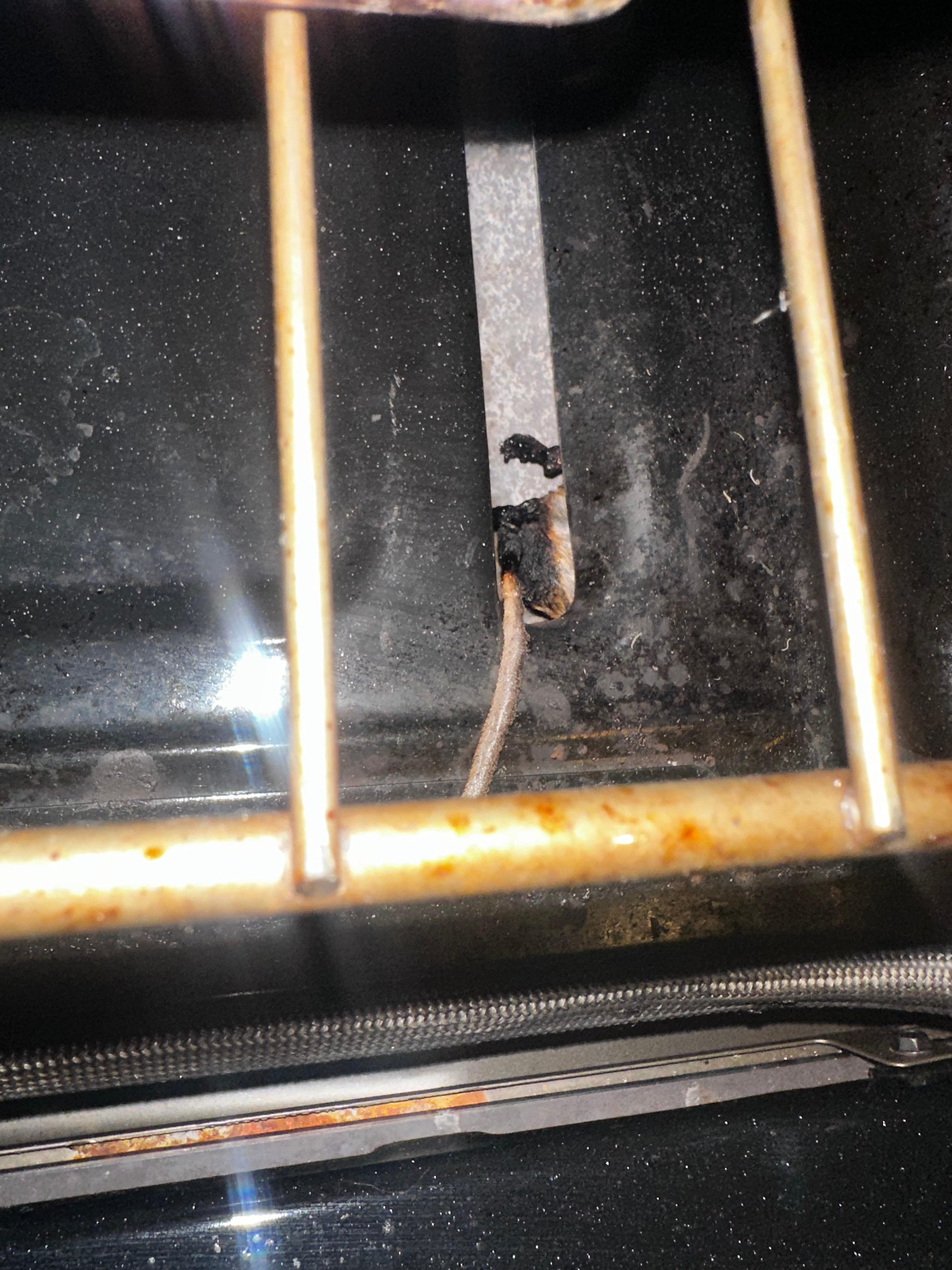 Mouse in oven stinky surprise while preheating the oven. No we did not cook in it after finding the mouse.