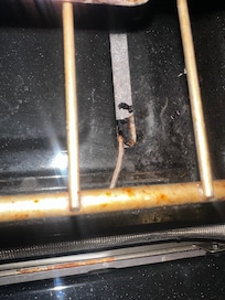 Mouse in oven stinky surprise while preheating the oven. No we did not cook in it after finding the mouse.