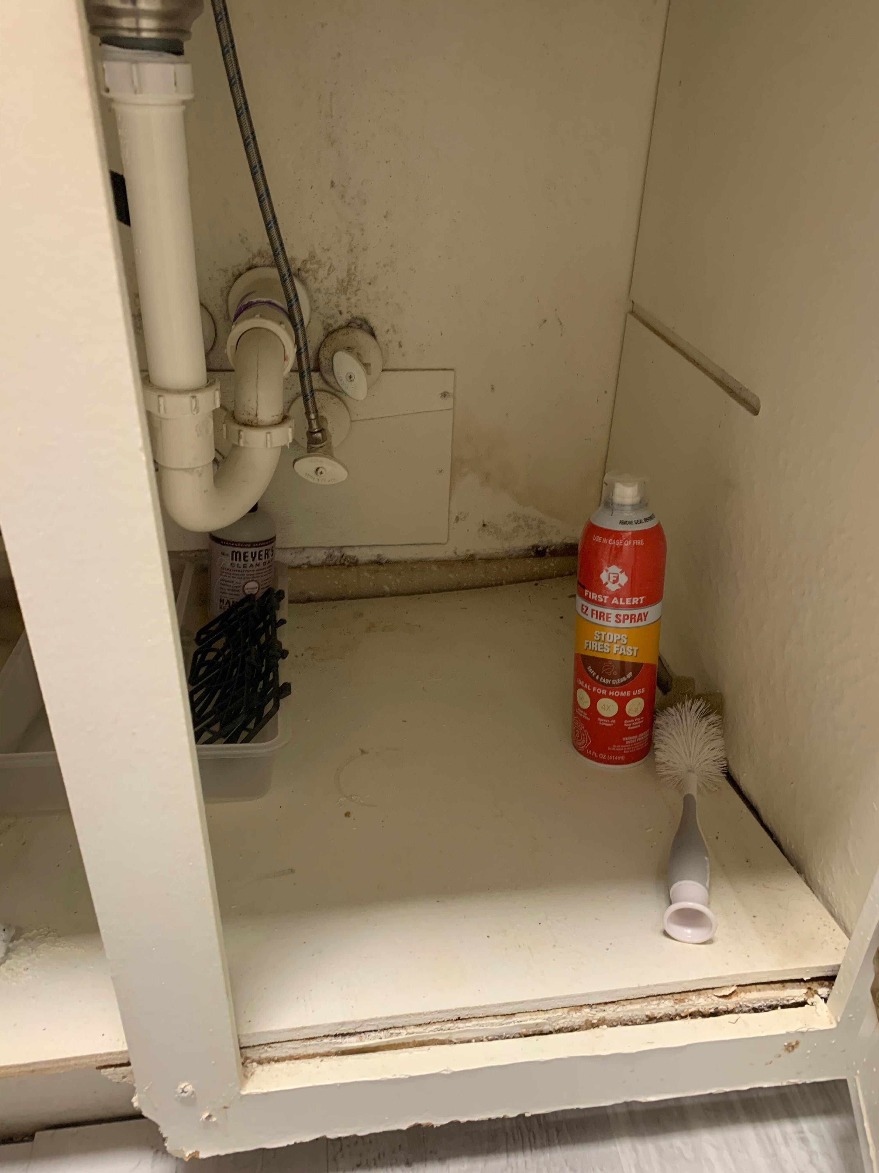 Mold