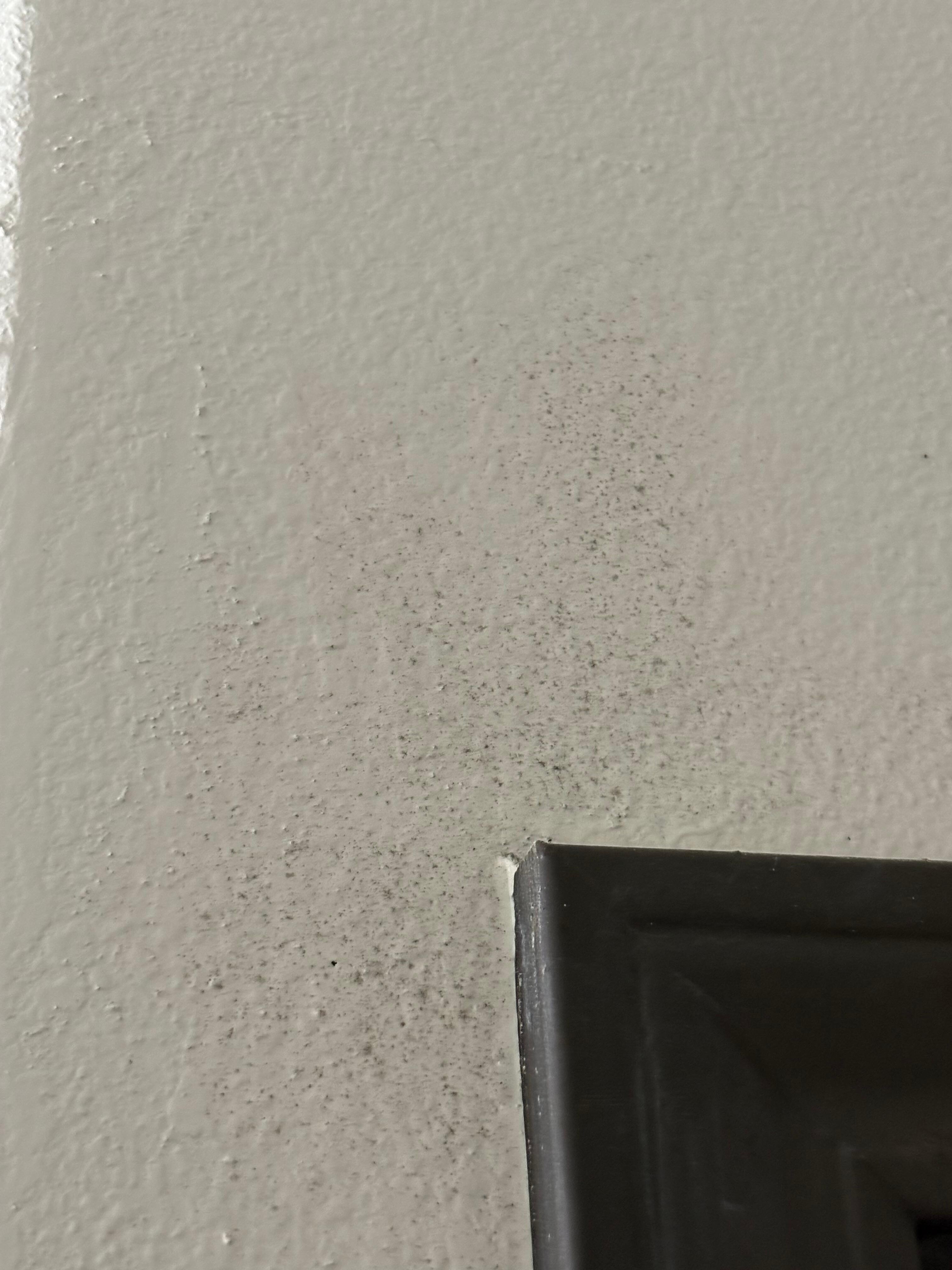 Mold