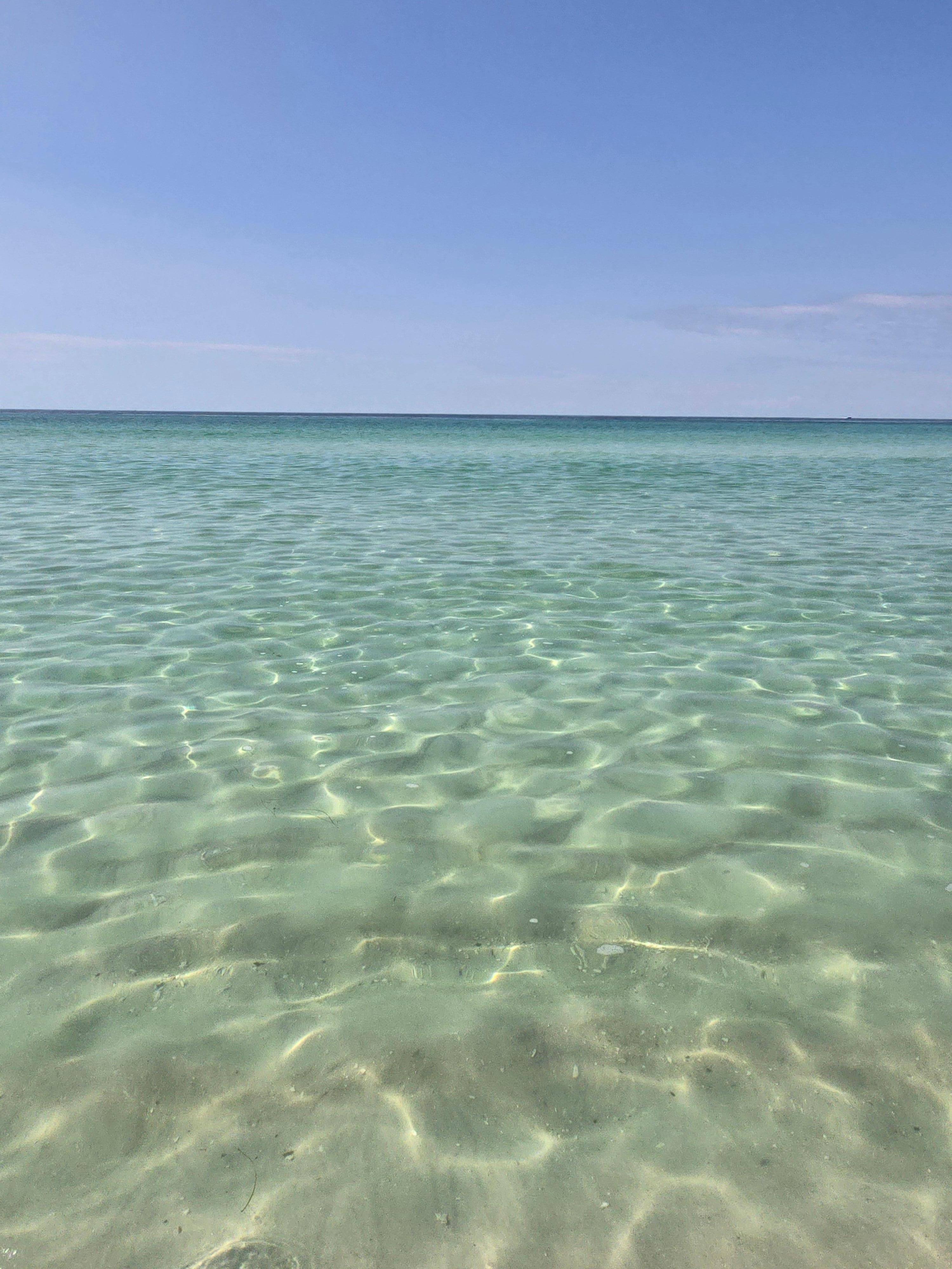 The water!