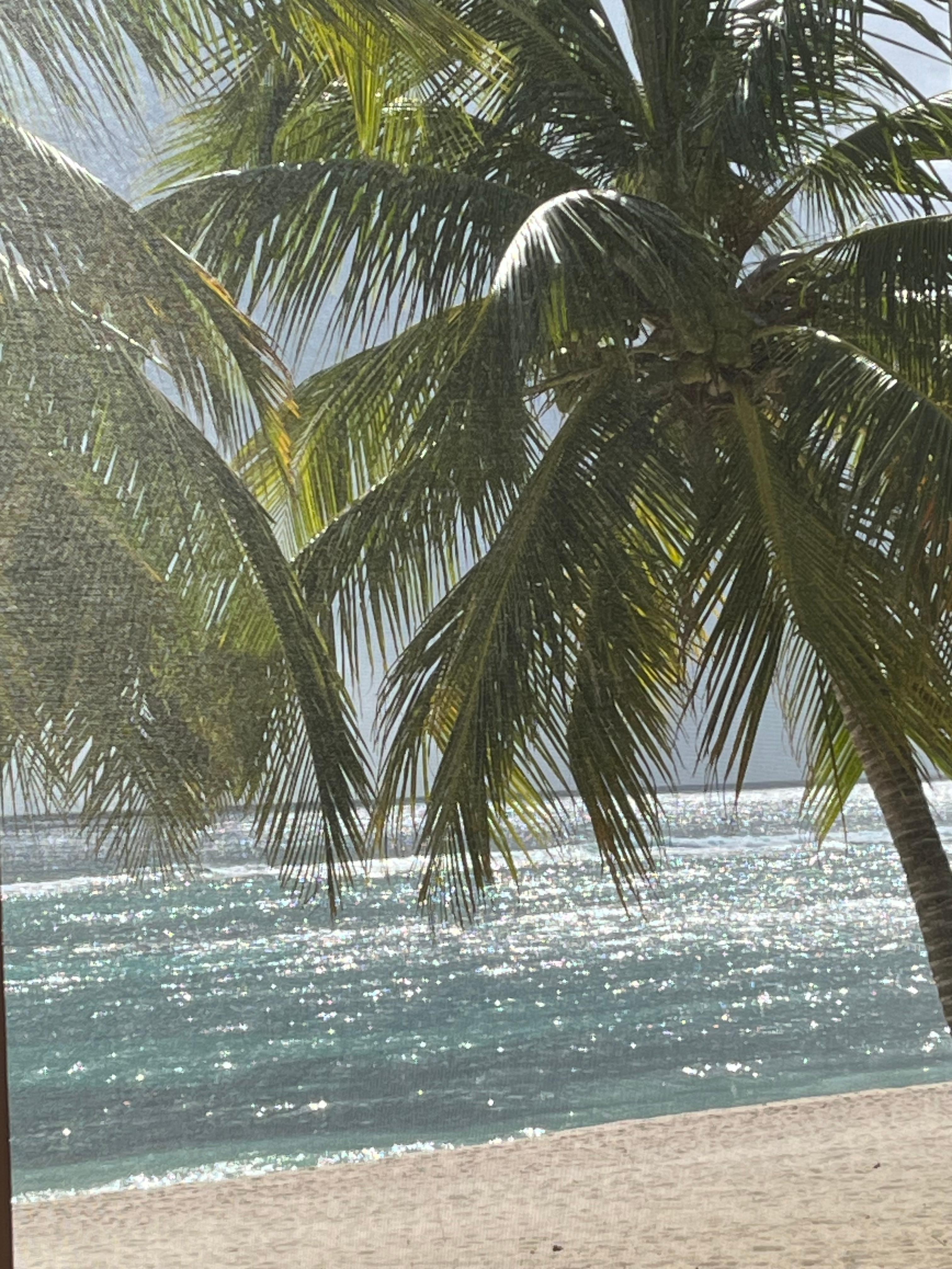 Sparkles on the water