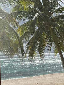 Sparkles on the water